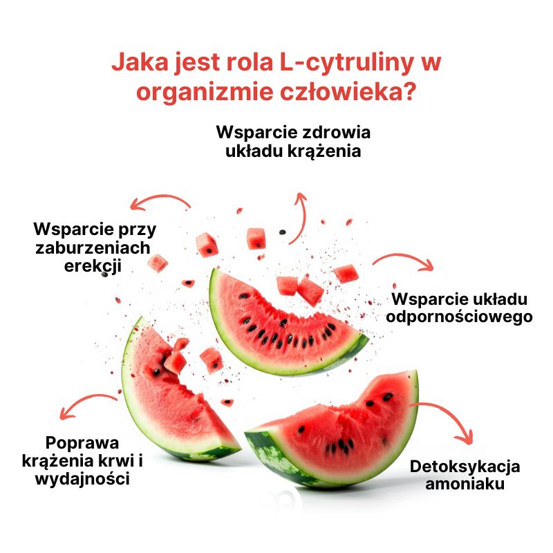 (Polština) Úloha L-citrullinu v lidském těle